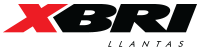 XBRI
